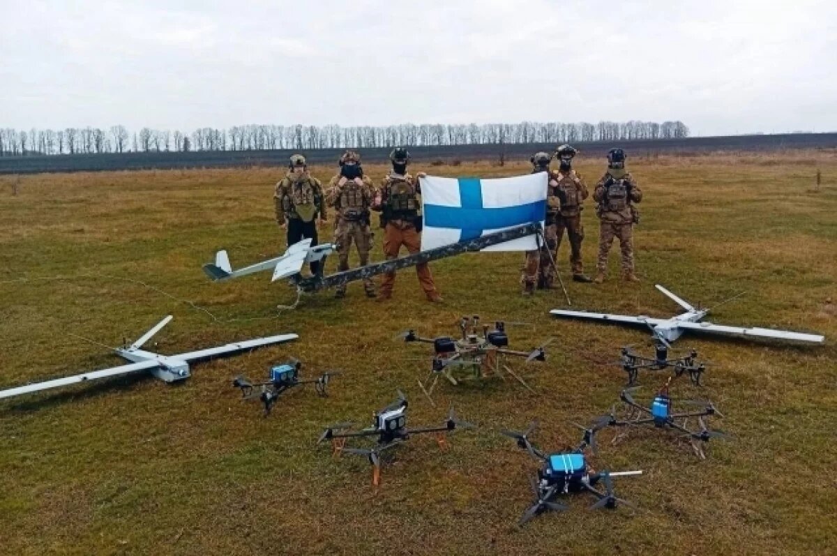    Финские «муми-тролли».