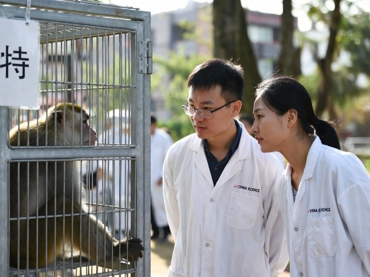     Фото: генерация Grok