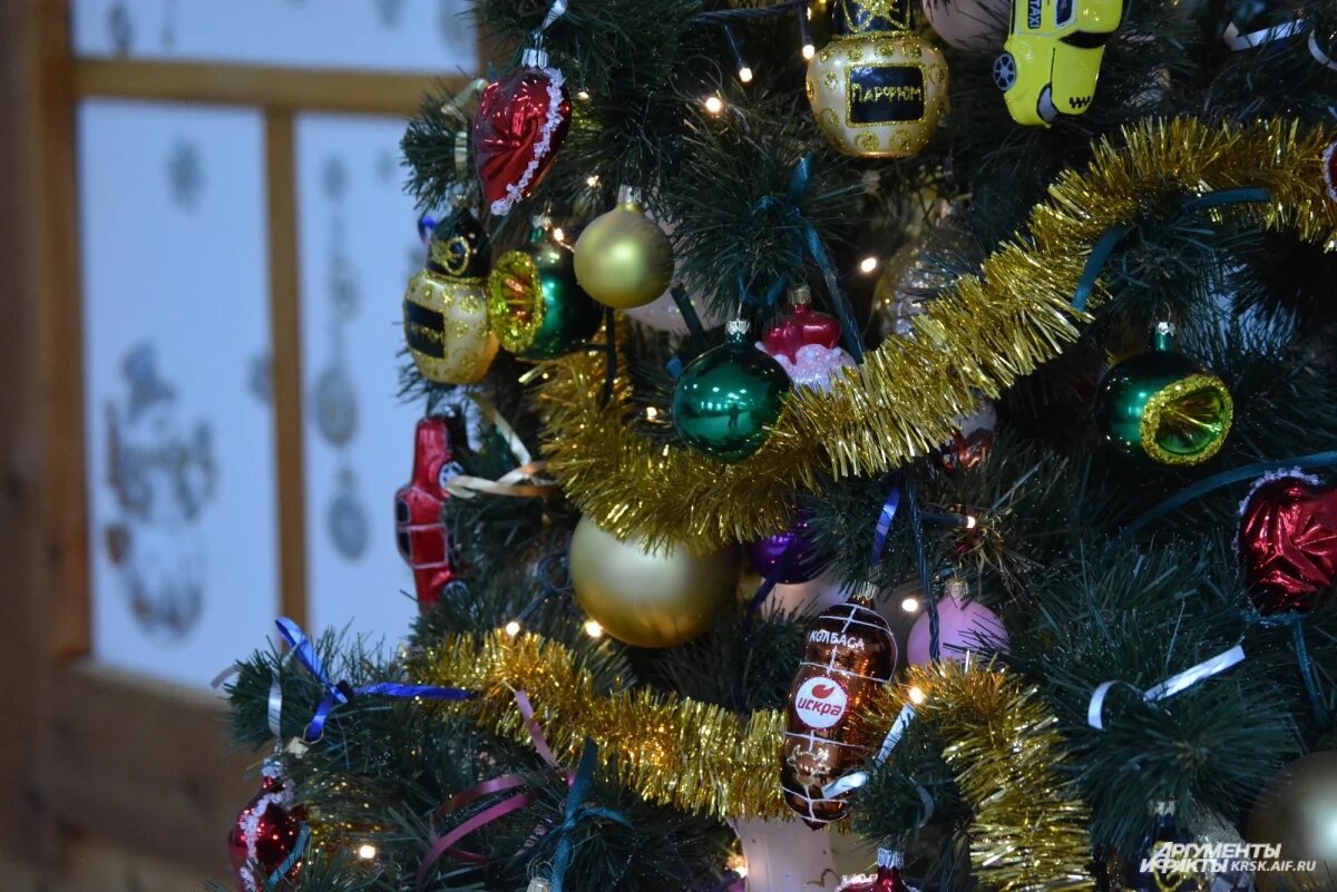    Роспотребнадзор рассказал, как безопасно украсить дом для детей и питомцев