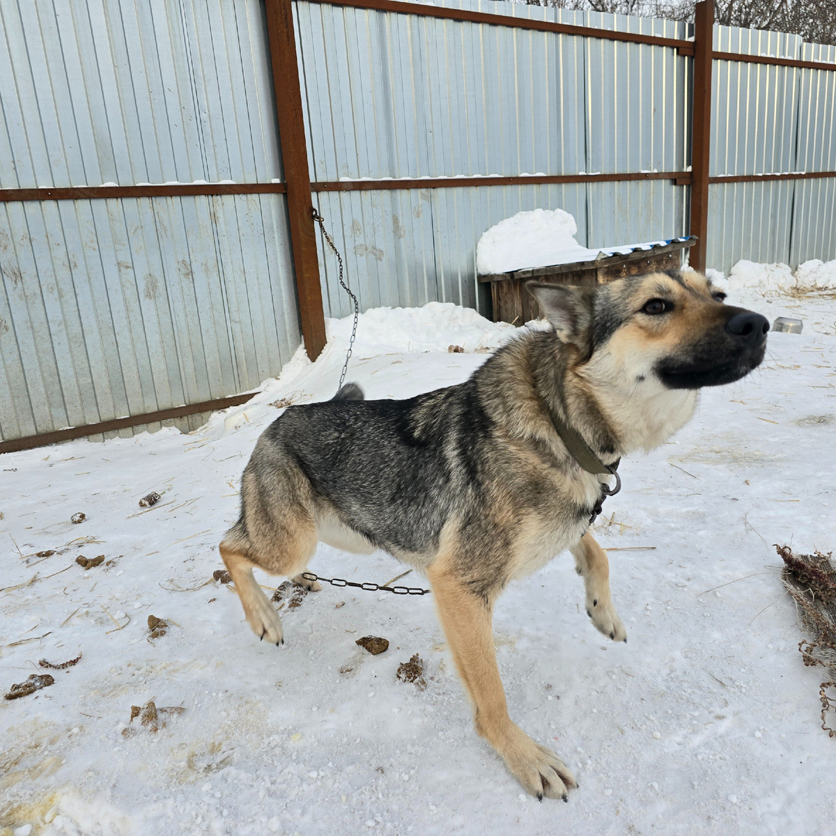 смотрит в небо