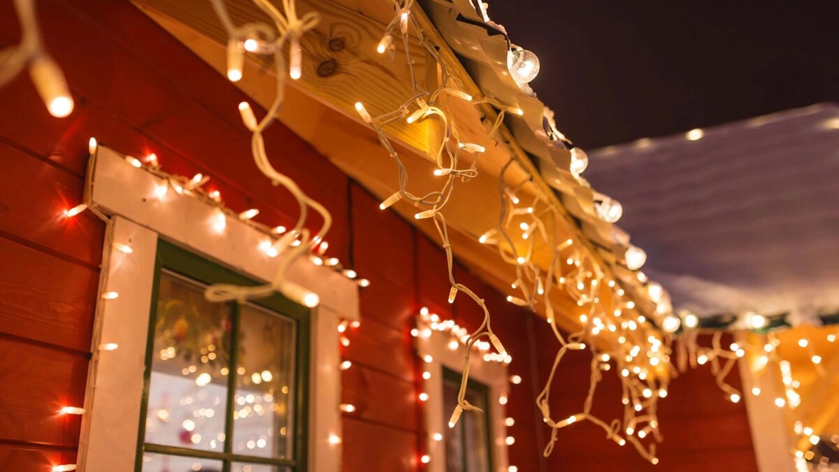    Фото: Ryzhkov Oleksandr/Shutterstock/Fotodom