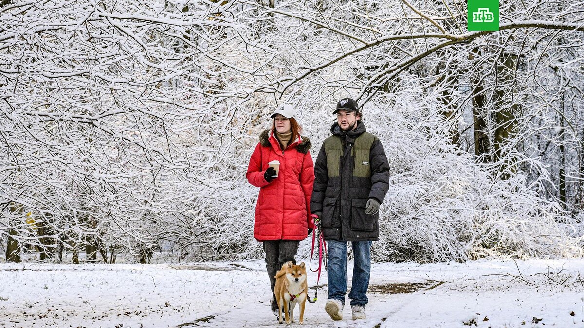    Фото: РИА Новости © 2025, Алексей Никольский