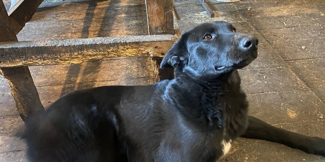 Все силы на крупу. Помогите рассчитаться с поставщиком 🙏