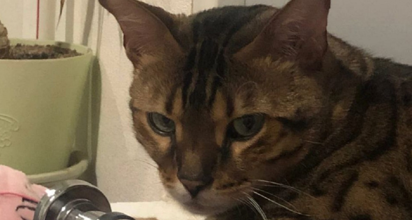    Фото Анастасии Дмитриевой