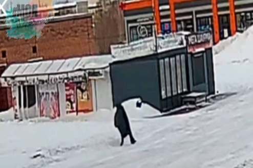 В Новосибирске пенсионерка поскользнулась на обледенелой дороге и сломала ногу