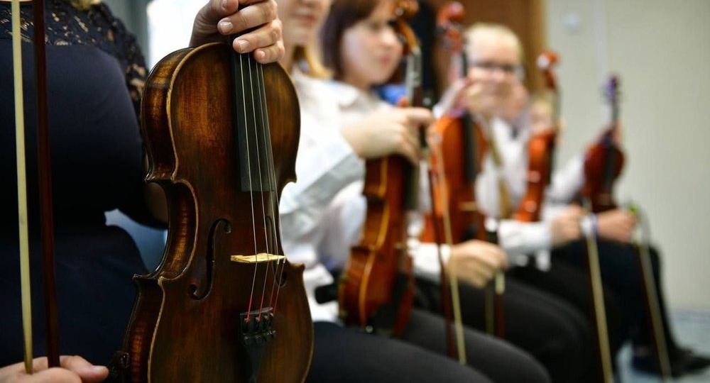 В Ярославской области отказались от объединения детских школ искусств