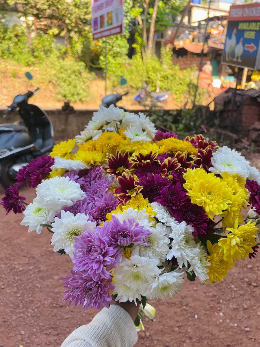Goa delivery Flowers 🌷 