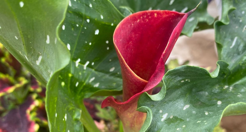    Фото irkutsk.news