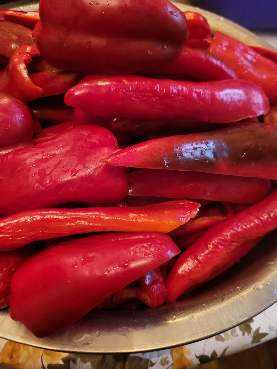 Болгарский перец 