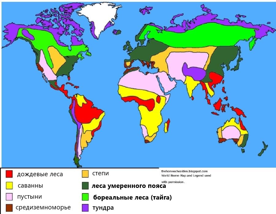 Максимально упрощенная карта биомов