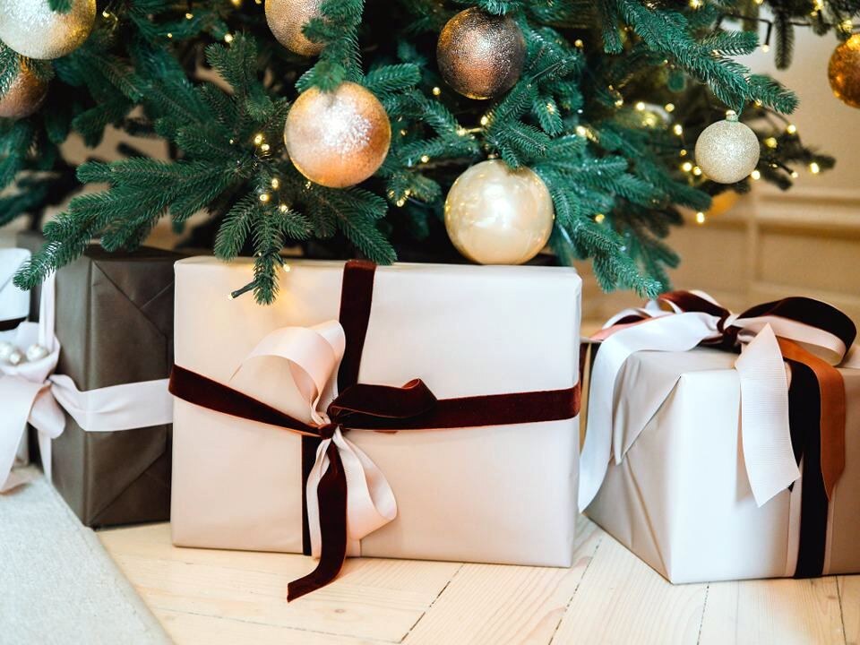    Фото: istockphoto.com/oliakolvitz