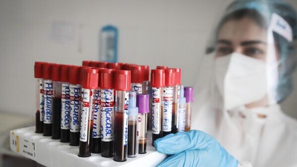    © Sputnik / Денис Абрамов