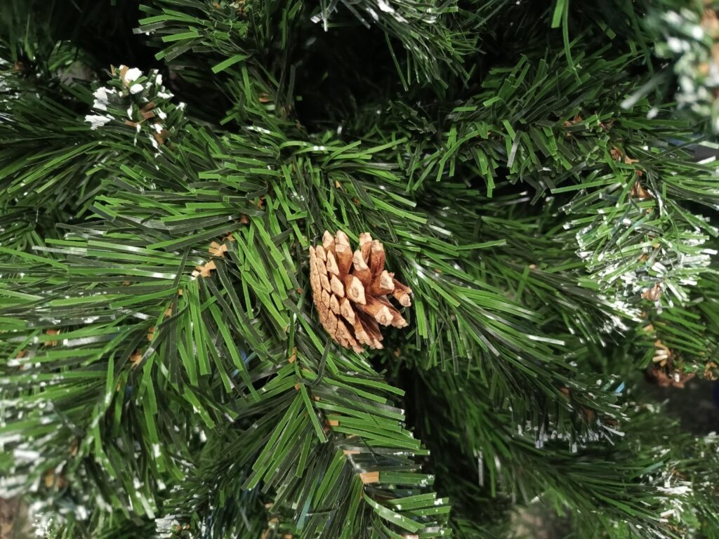    Фото: v-kurse.ru Ольга Гилёва