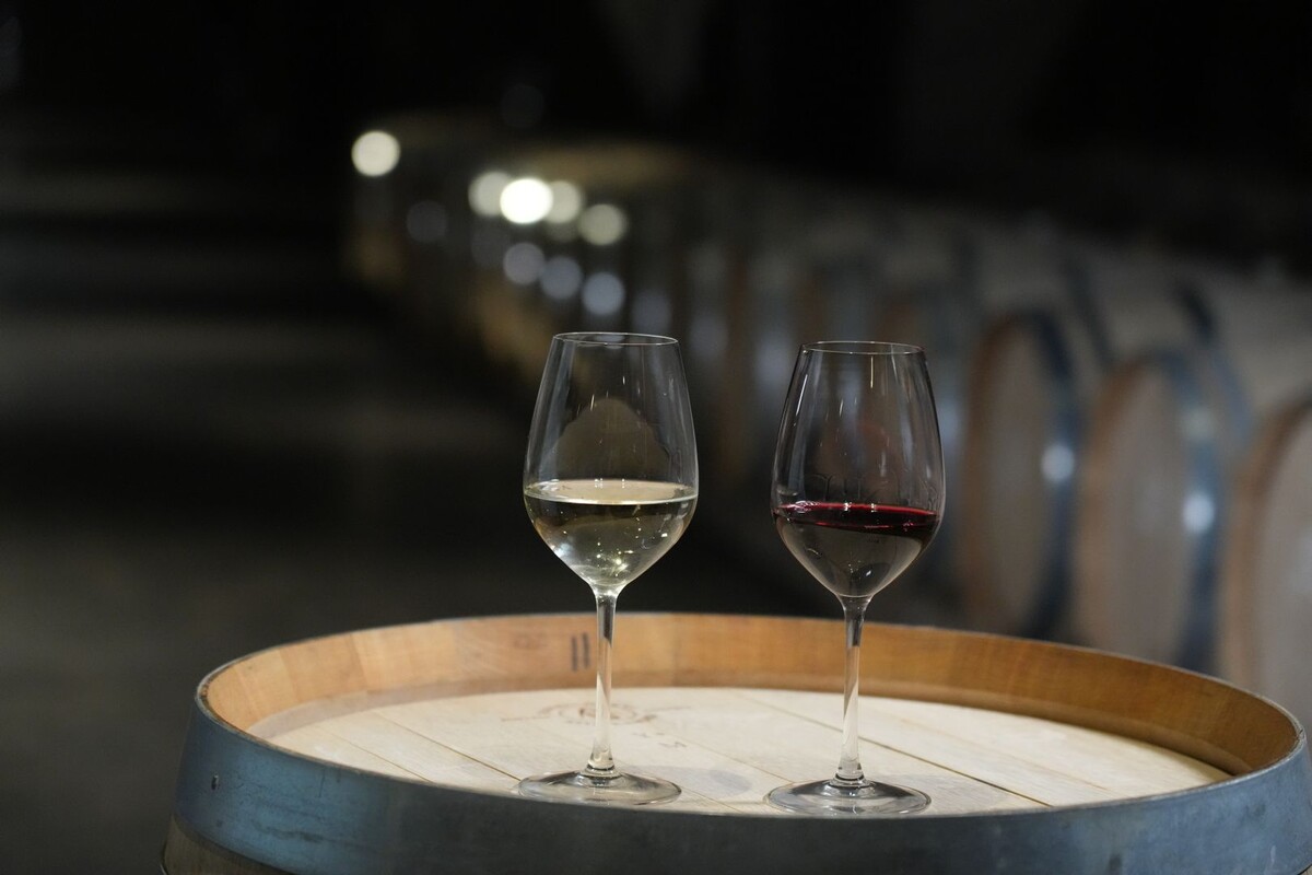     / Источник: © ИЗВЕСТИЯ/Дмитрий Коротаев