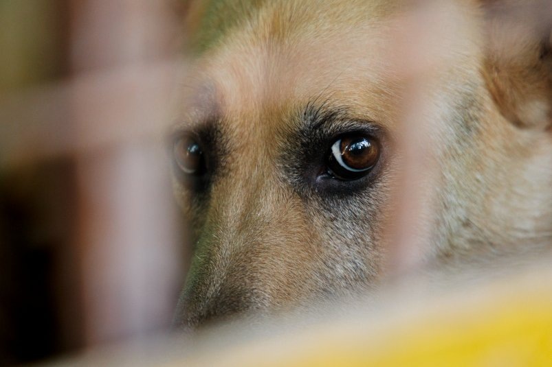     Тематическое фото. Фото: ИА OmskMedia