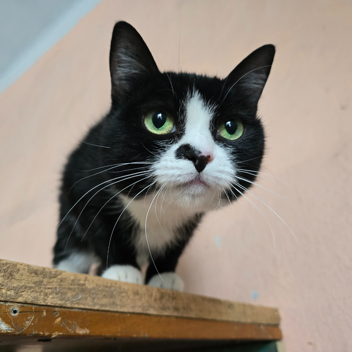 взгляд полон скрытых чувств