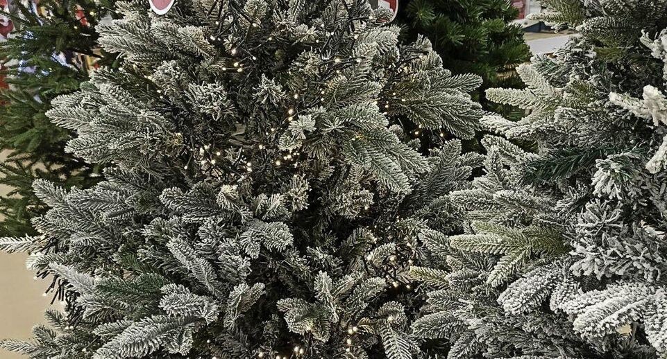    REGIONS/Эльвира Сафина