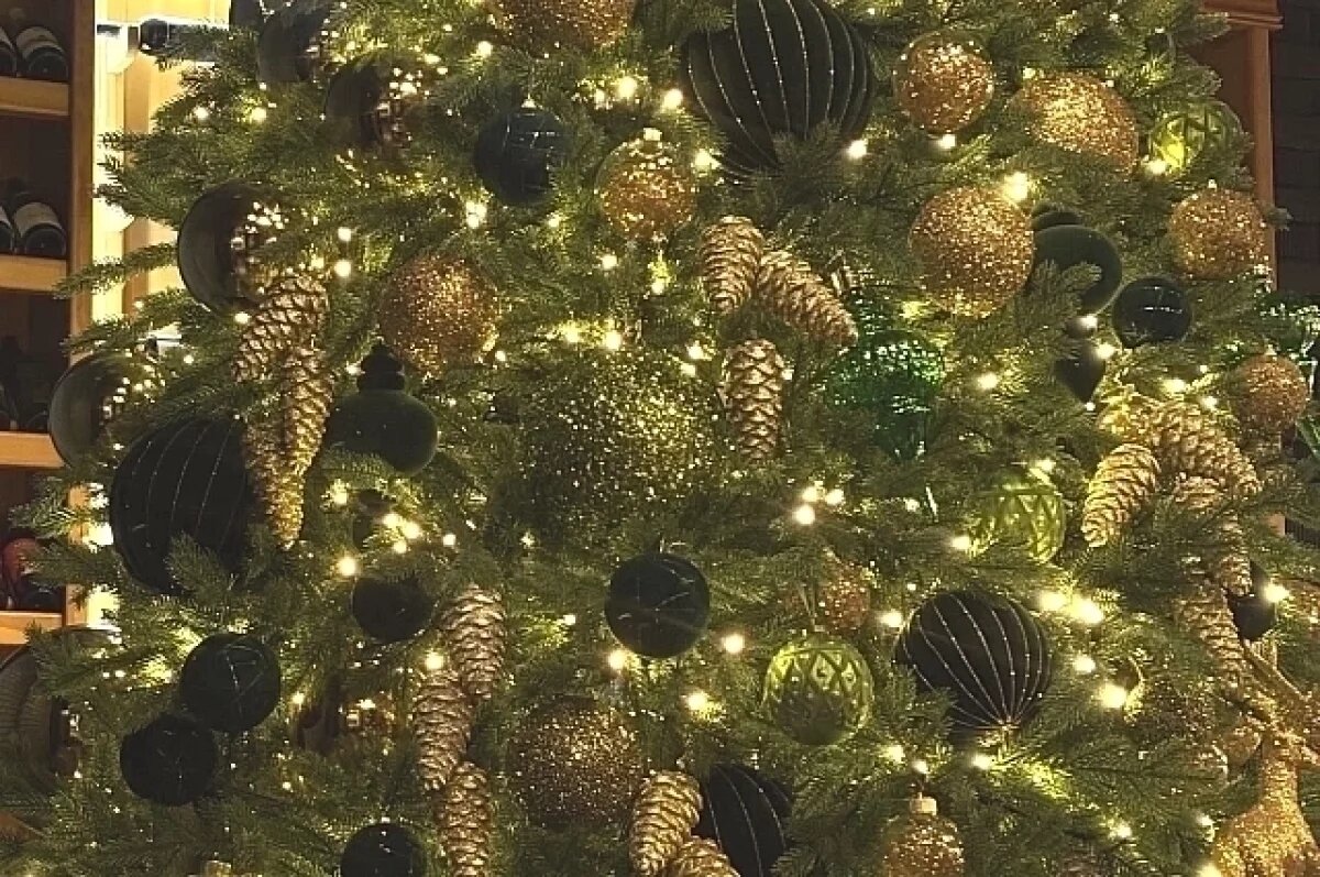    В Новосибирске в Советском районе с 15 декабря откроются елочные базары