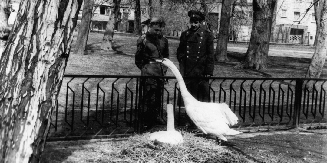 Кто служил в Германии или трудности перевода