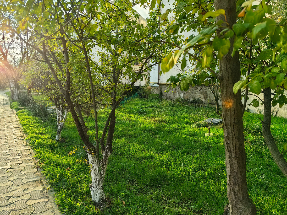 Сегодня. Фото автора канала