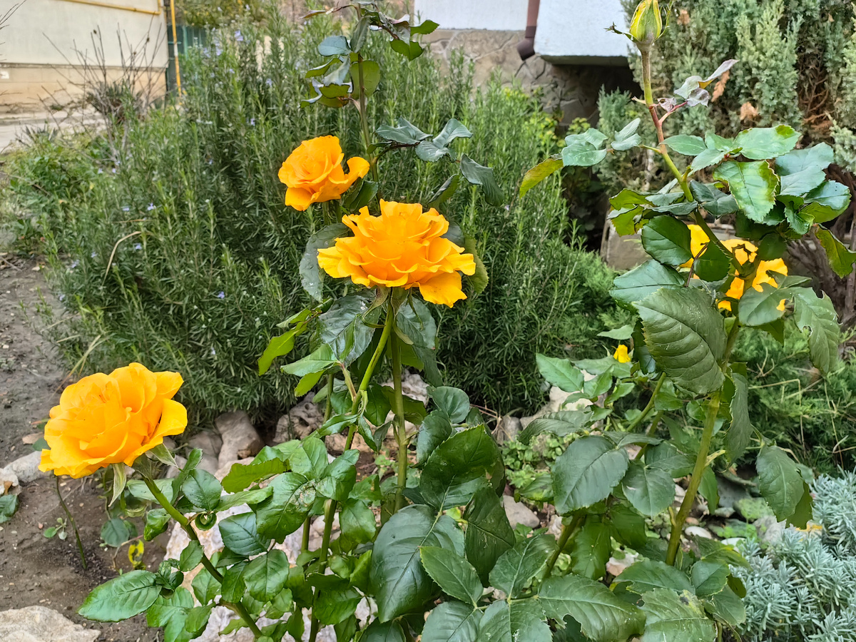 Сегодня. Фото автора канала