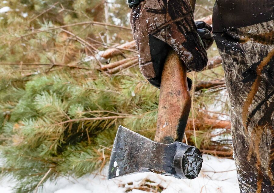     / Источник: © Кирилл Кухмарь/ТАСС