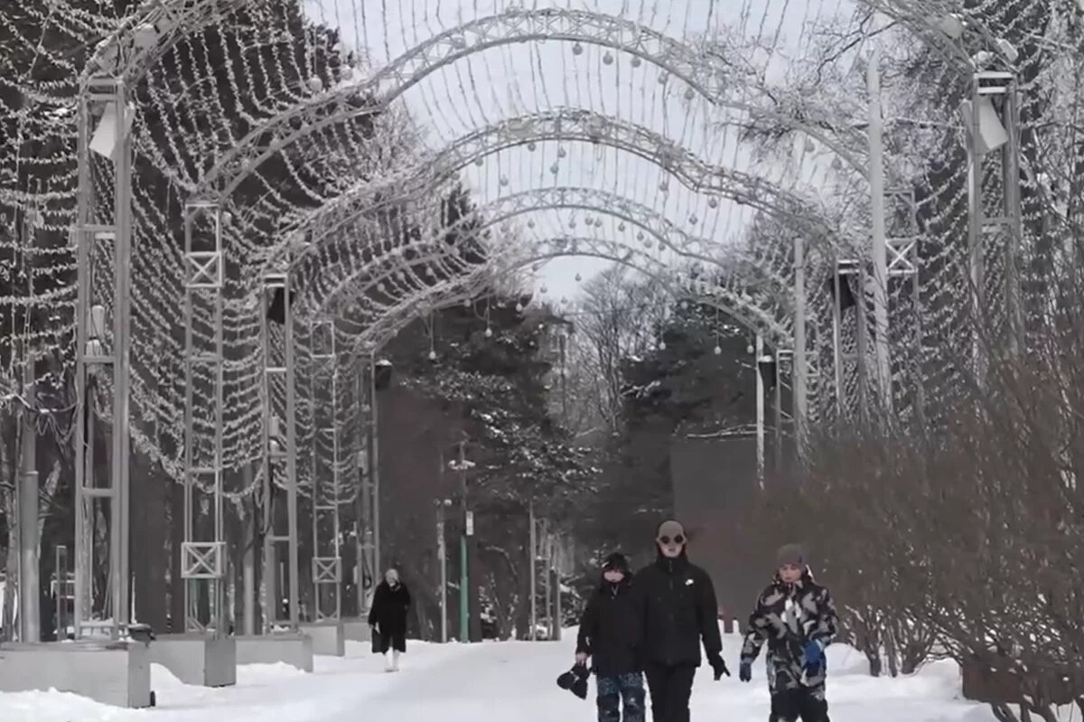    Мэр Южно-Сахалинска проверил готовность парка имени Гагарина к Новому году