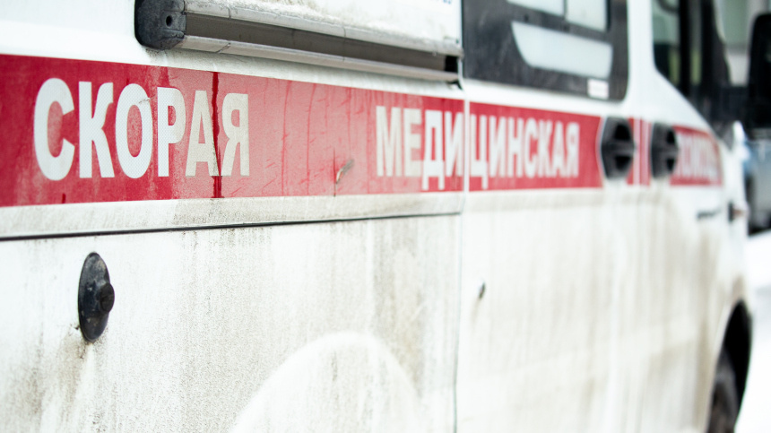    Фото: ИЗВЕСТИЯ/Телеканал «78»