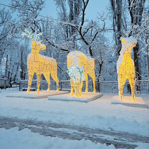 Олени около Аксайской ЦРБ.   
/ ФОТО Татьяны Веревочкиной Администратор  📷
