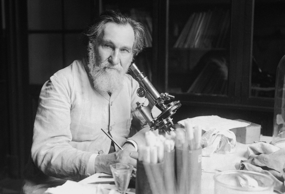 Фото из интернета