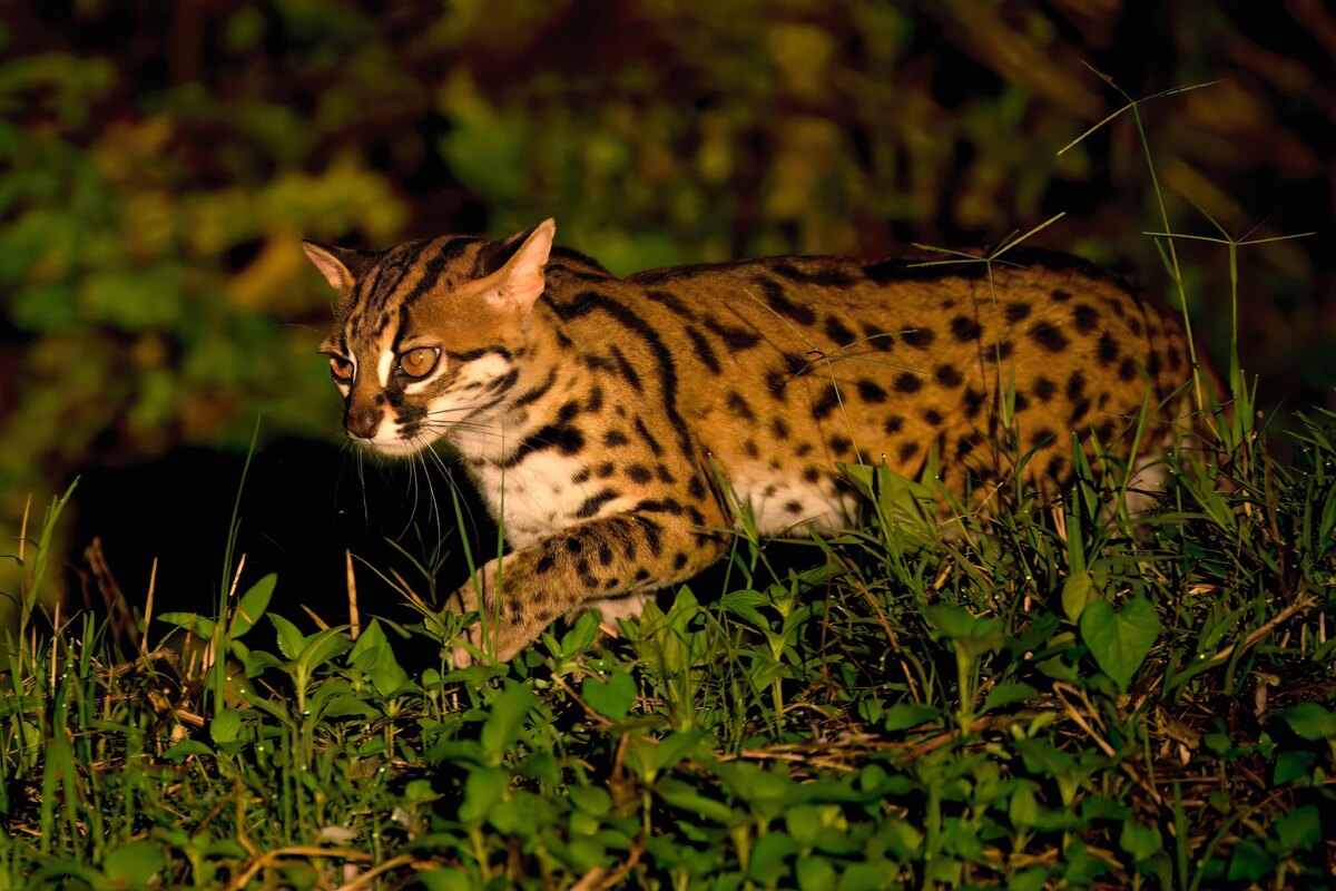    фото:Michel & Gabrielle Therin-Weise/ Legion media