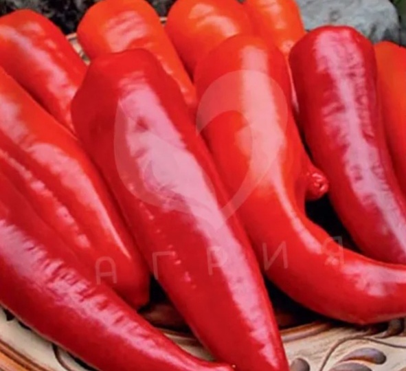 Перец «Ласанта F1»