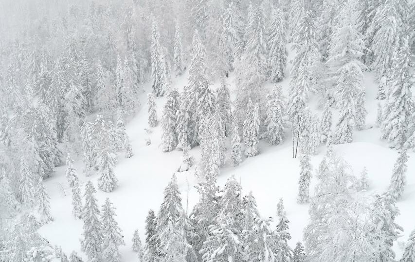 Зима на телефон