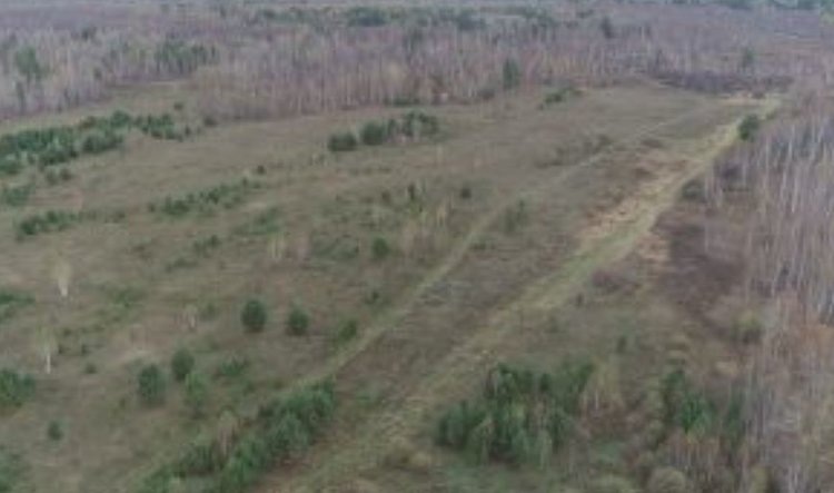    Фото: Россельхознадзор РФ