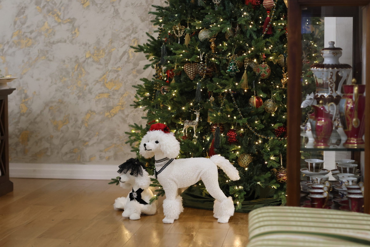    Фото: abn.agency