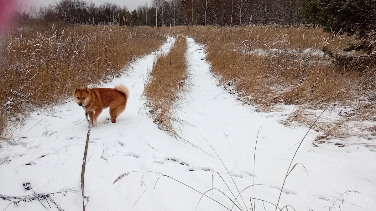 Зовёт куда-то.Фото автора