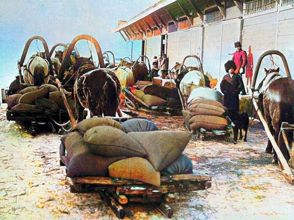 Фото: РИА Новости