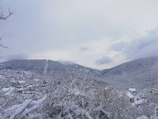    Фото: пресс-служба администрации города Сочи