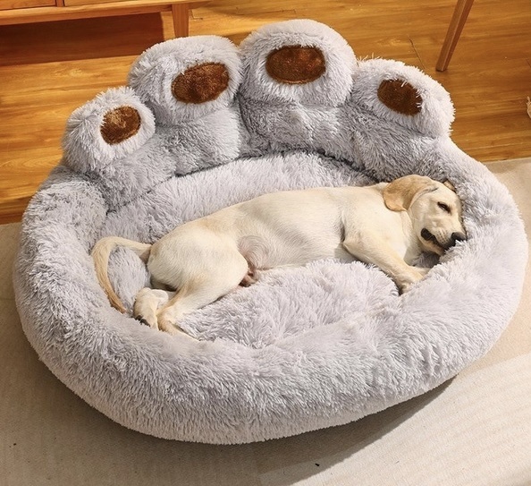 Сердце дома. 