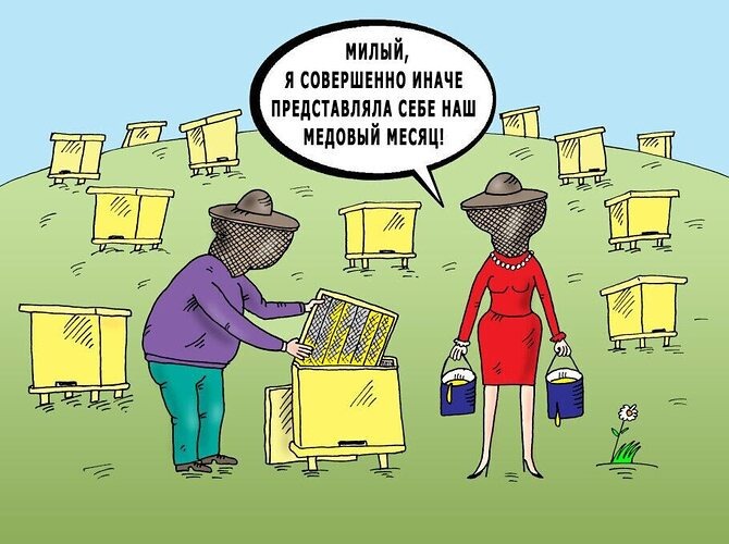 Ожидание и действительность!