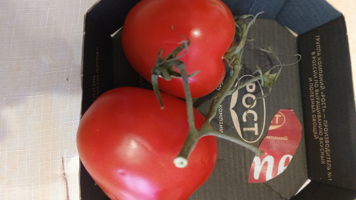 фото автора: мой любимый сорт томатов Фламенко