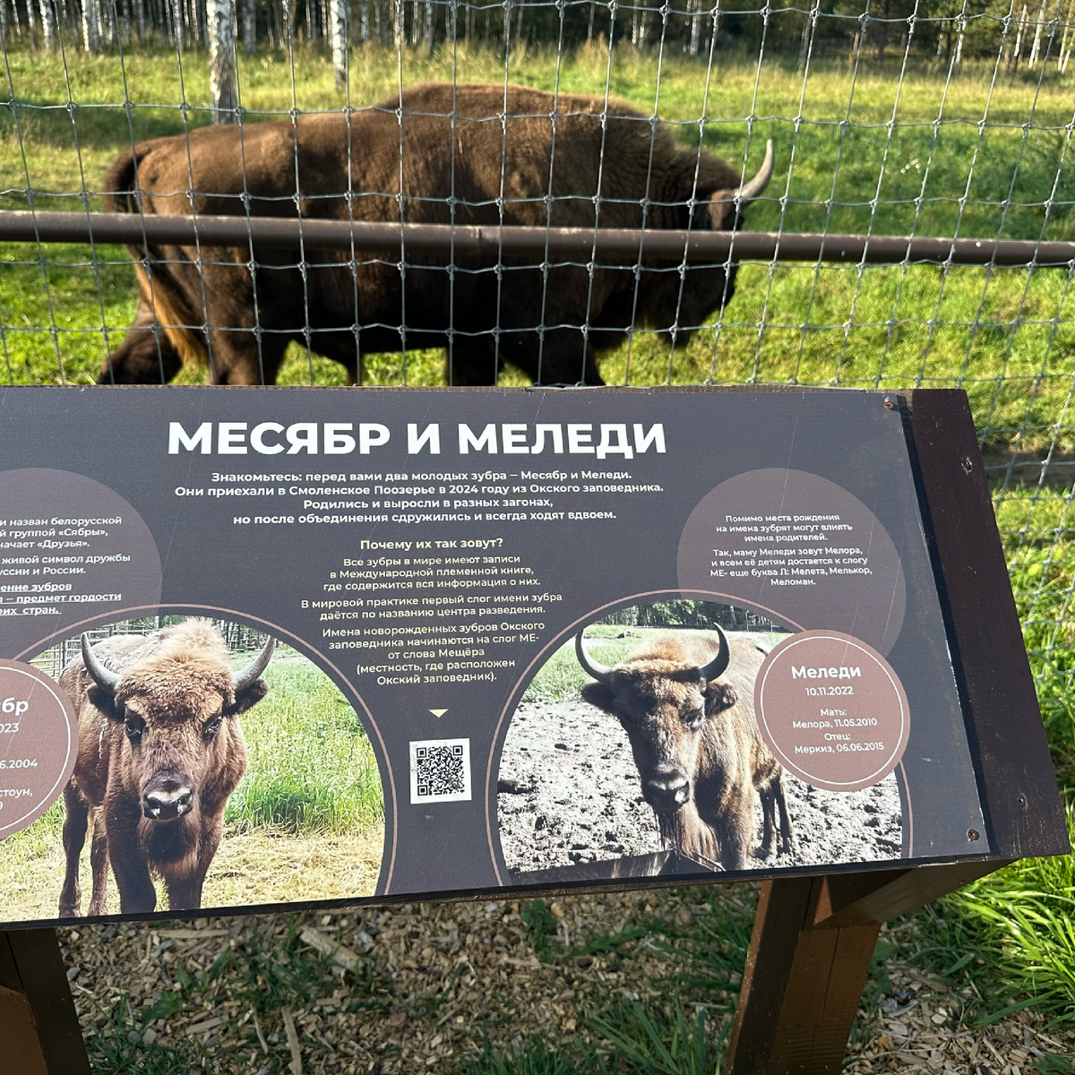 Смоленское поозерье