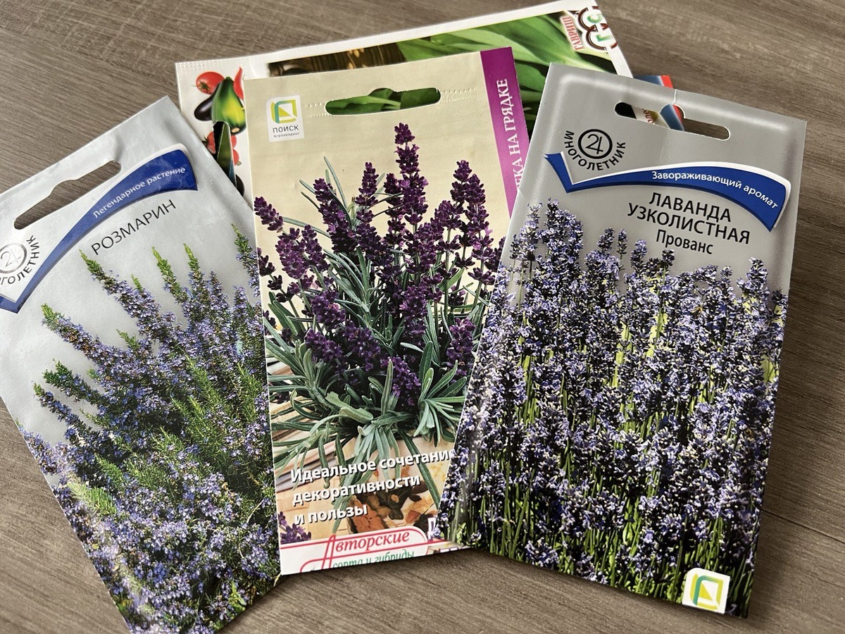 Семена растений, нуждающиеся в холодной стратификации