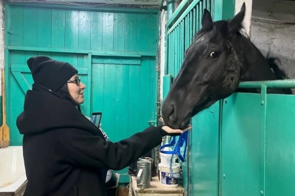    Кони вне закона?