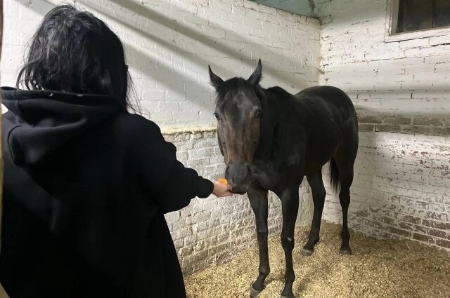    Фото: АиФ-Ростов/ Максим Цупко