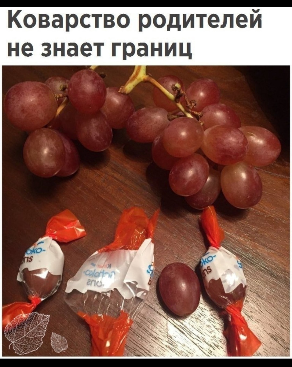 Источник: соцсети