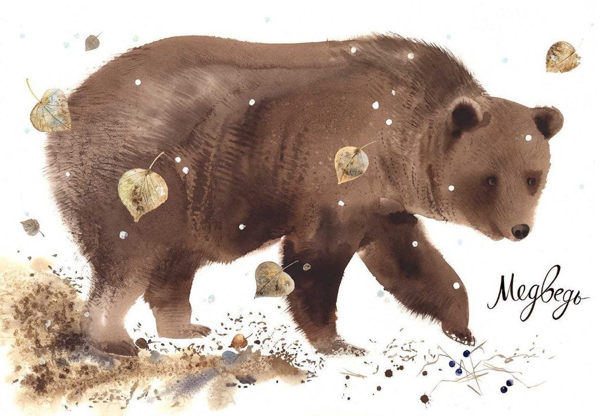 Иллюстрация Ольги Фадеевой