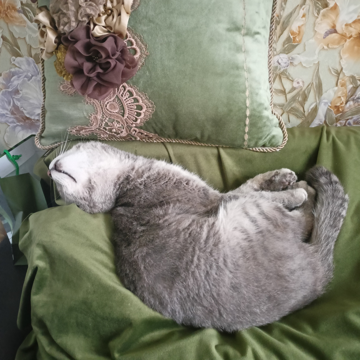 Жизнь – прекрасная штука!