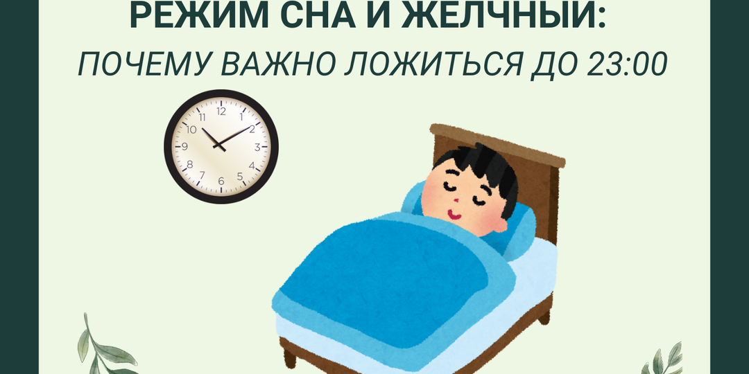 Режим сна и желчный: почему важно ложиться до 23:00