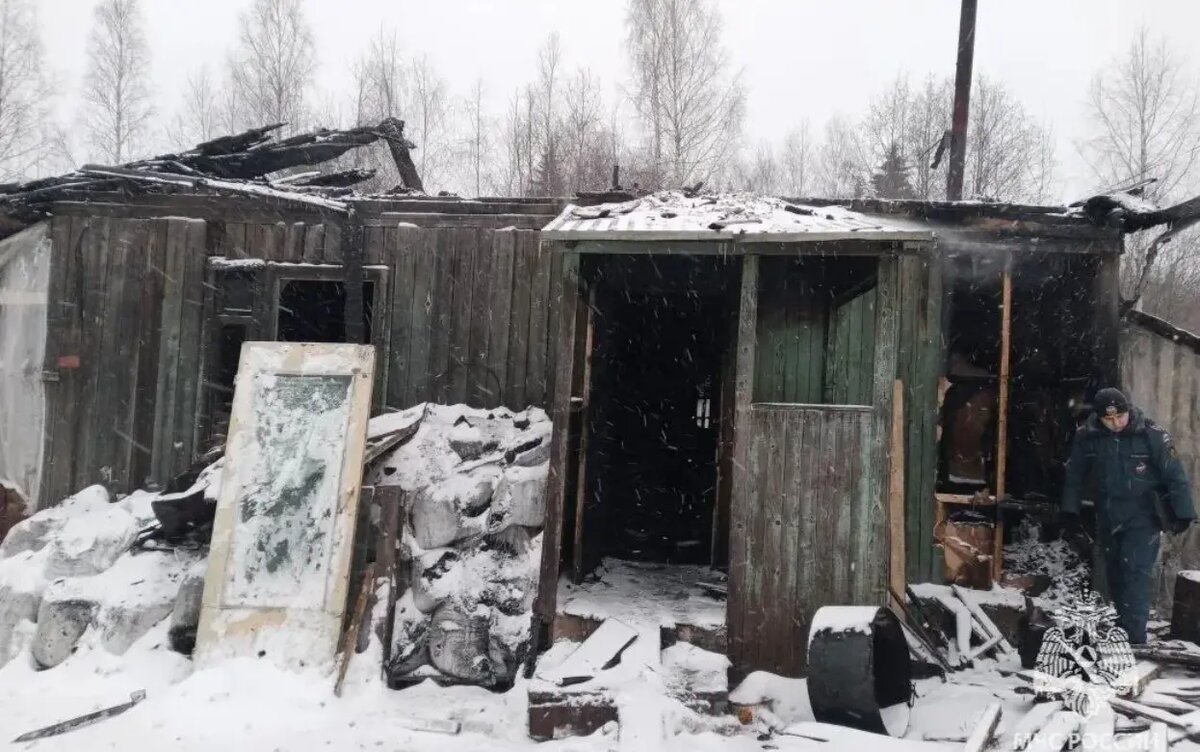    2 тыс. цыплят погибли при пожаре в Удмуртии